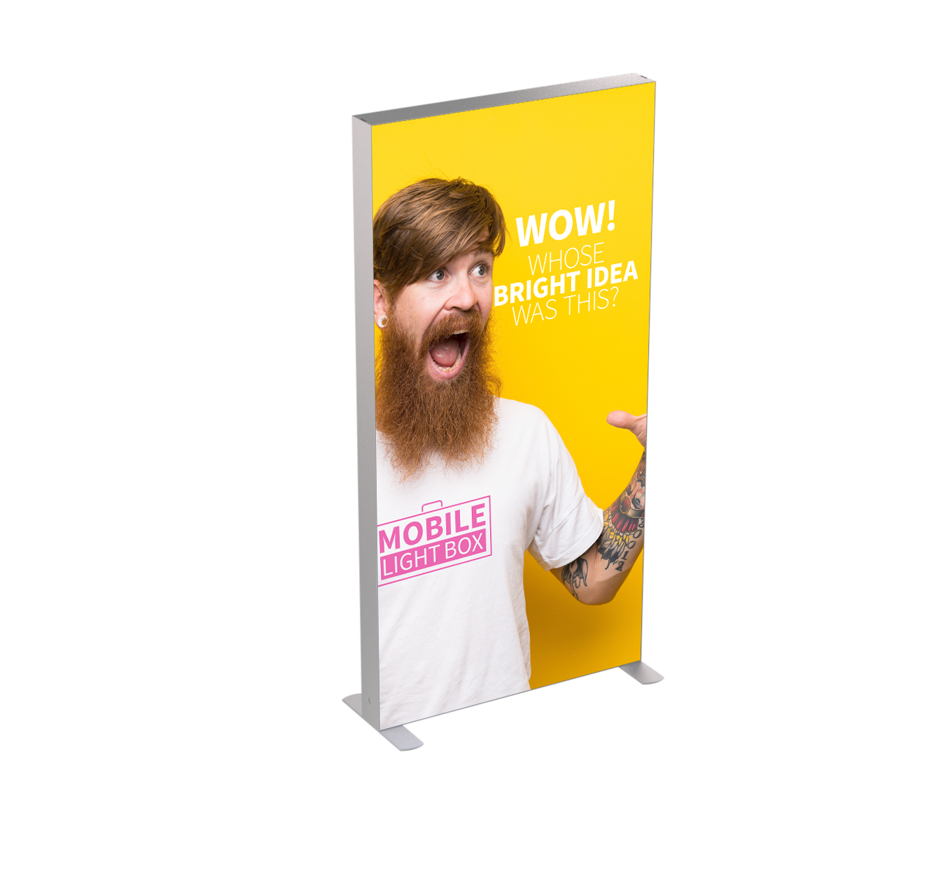 Mobile Light Box 100 x 250 frame product image with included banners.