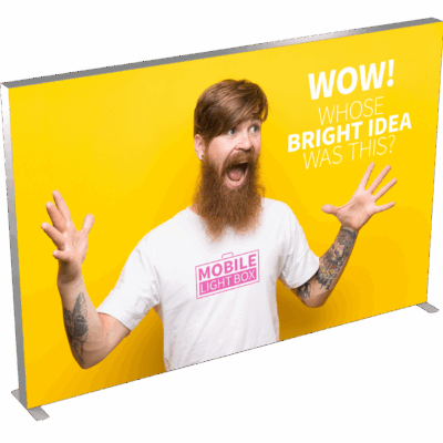 Mobile Light Box 300 x 250 banner display with branded backlit graphic and model pointing.