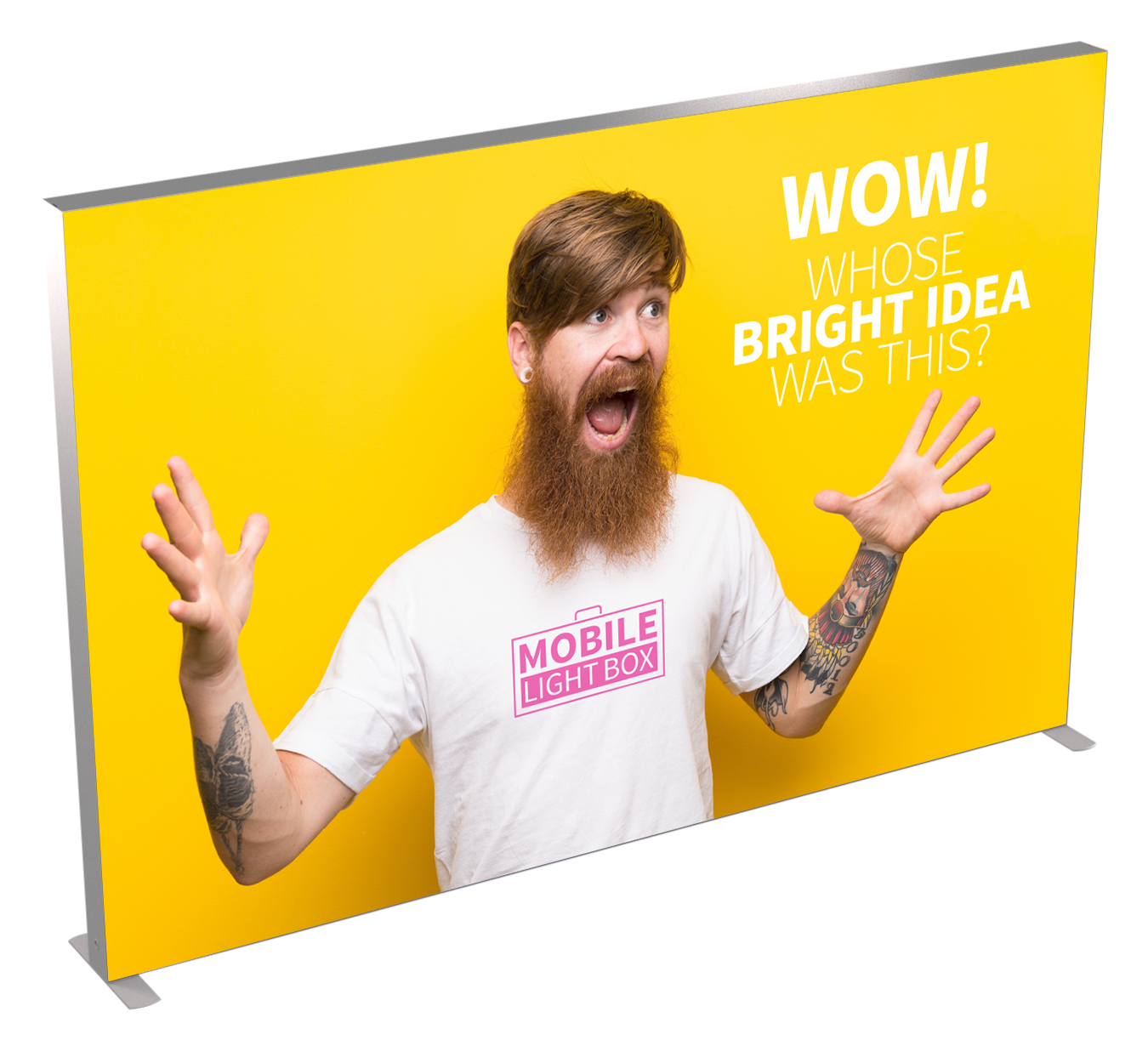 Mobile Light Box 300 x 250 banner display with branded backlit graphic and model pointing.