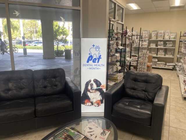Portable SEG light box banner display in veterinary office waiting room promoting pet dental health month
